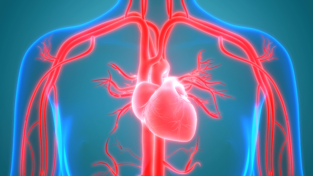 Stenosi aortica e aneurisma dell’aorta: gli interventi