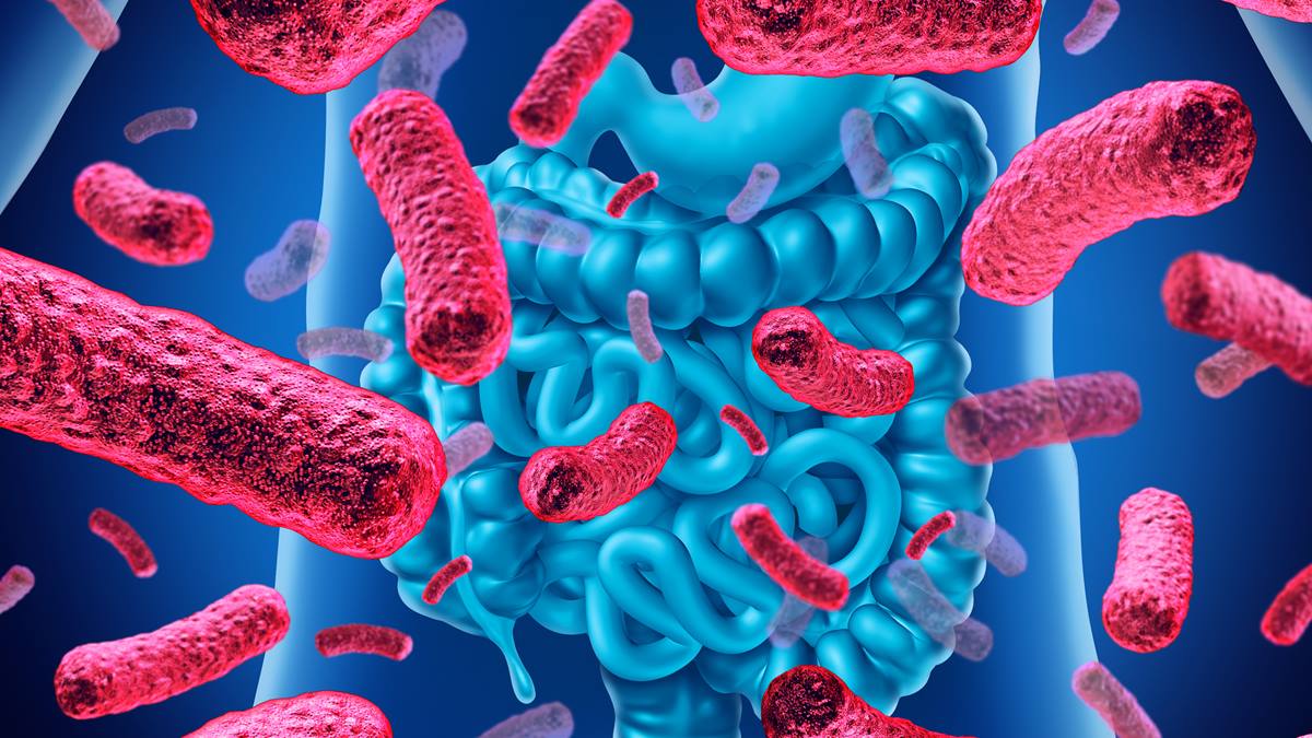 I probiotici come modulatori del microbiota intestinale: un nuovo approccio alla medicina personalizzata per il medico e farmacista