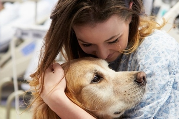 Pet Therapy: quando l'amore di un animale fa bene al cuore