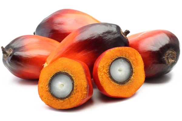 Olio di palma: “Fa aumentare il rischio di colesterolo, meglio l’extravergine d’oliva”