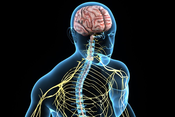 Neurologia: la “disciplina globale” che cura cervello, midollo spinale e nervi