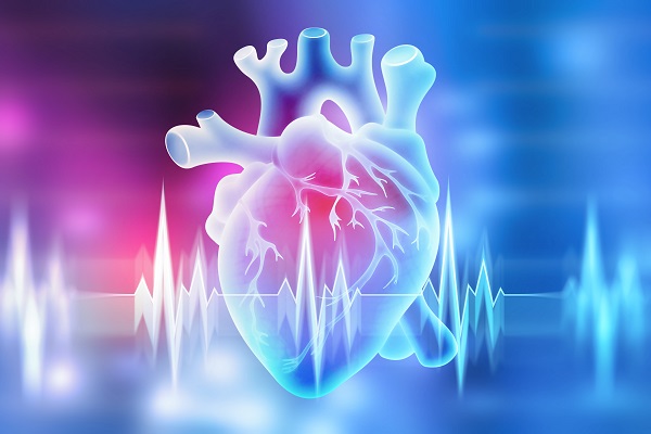Calcium Score: il test per la prevenzione del rischio cardiovascolare