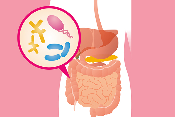 Test del Microbiota intestinale: perché è importante per il nostro benessere?