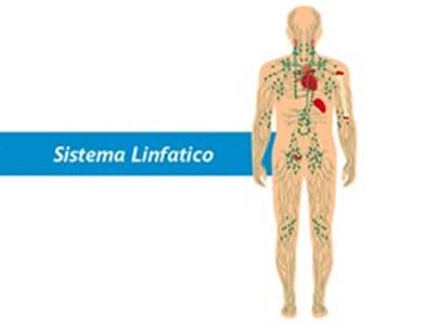 Microchirurgia dei vasi linfatici - Salus Hospital:  l’unico Centro specializzato in Emilia Romagna